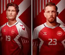 丹麦队主力中场加盟英超豪门(丹麦队主力中场加盟英超豪门球员)